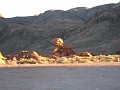 Las Vegas 2010 - Valley of Fire 1001